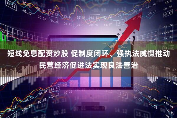 短线免息配资炒股 促制度闭环、强执法威慑推动民营经济促进法实现良法善治