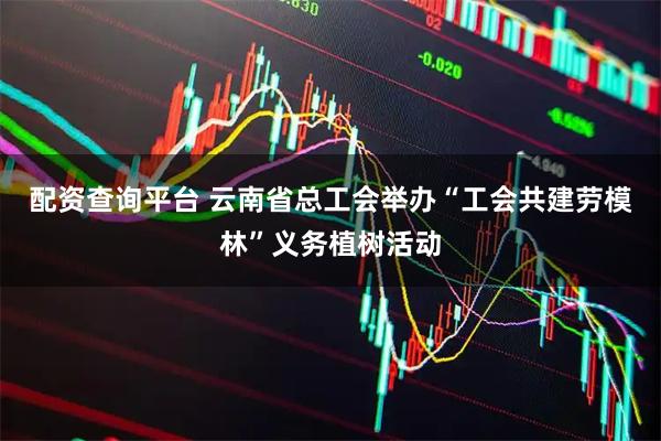 配资查询平台 云南省总工会举办“工会共建劳模林”义务植树活动